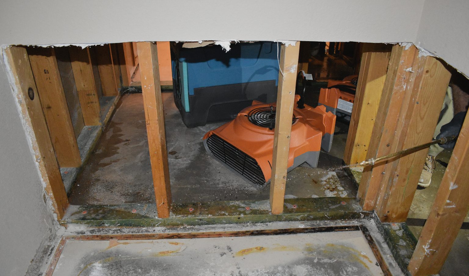 Water Damage and Restoration Service Monroe GA Mustache Mitigation