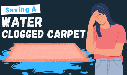 You are currently viewing Saving A Water Clogged Carpet