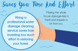 Read more about the article Why You should Hire Professional Water Restoration Service