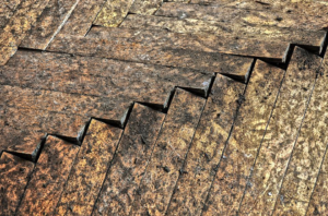 A water-damaged wooden floor